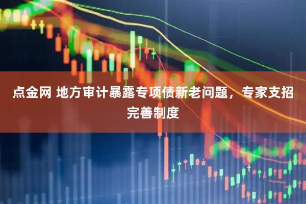 点金网 地方审计暴露专项债新老问题，专家支招完善制度