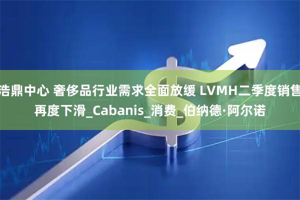 浩鼎中心 奢侈品行业需求全面放缓 LVMH二季度销售再度下滑_Cabanis_消费_伯纳德·阿尔诺