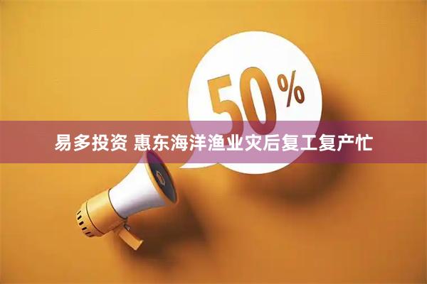 易多投资 惠东海洋渔业灾后复工复产忙